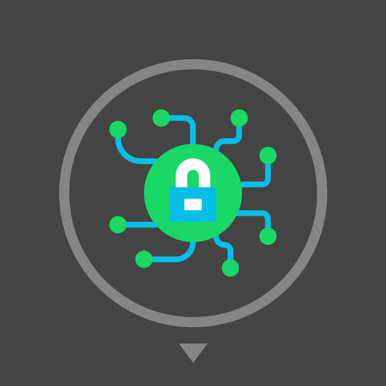 Cybersecurity Fundamentals with Certificate of Completion - 2025